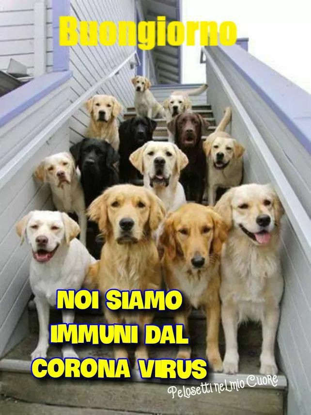 buon giorno