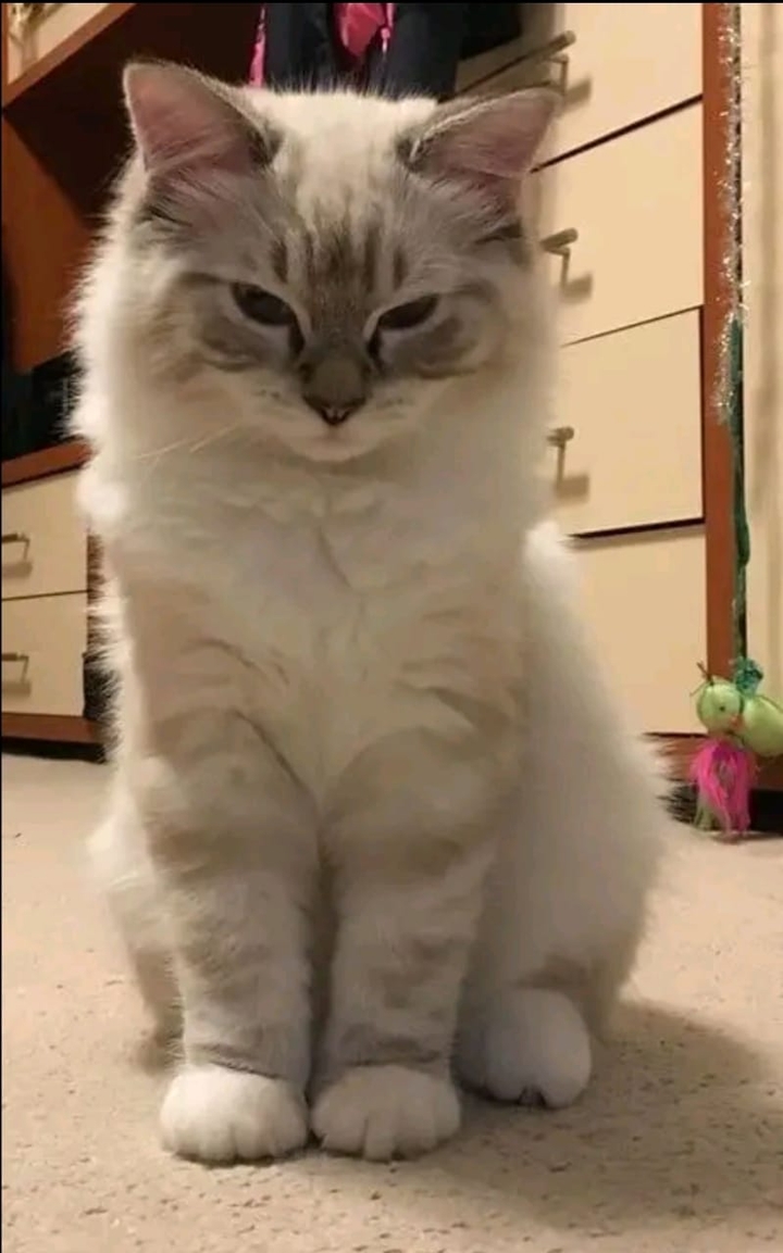 .