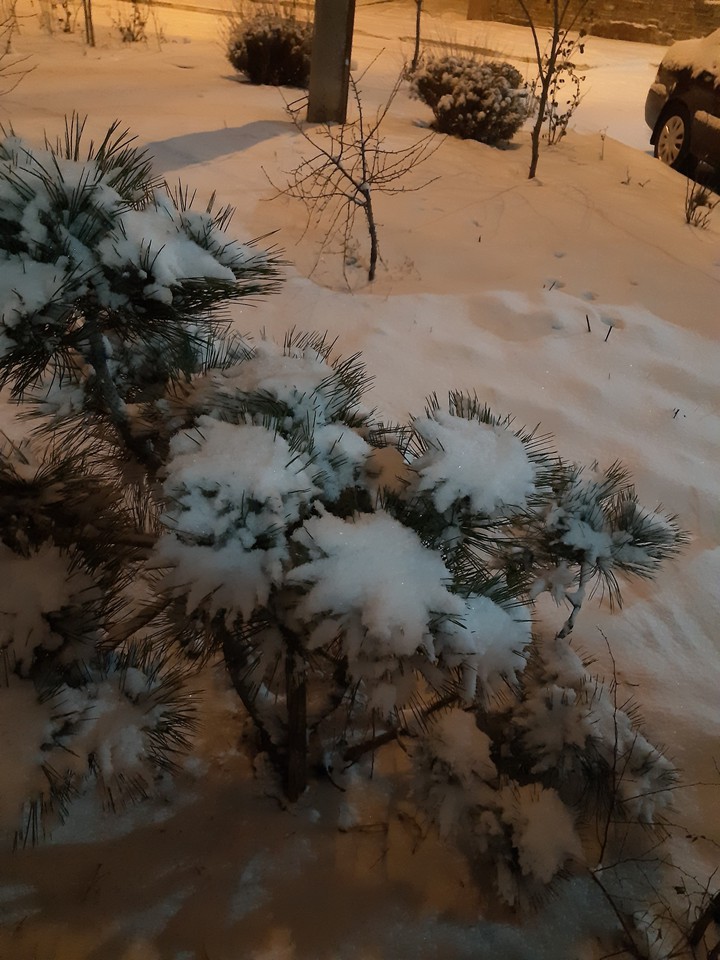зима