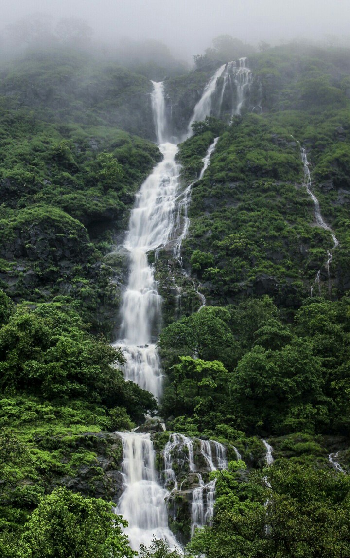 The Monsoon Season.