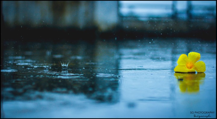Rainy Season