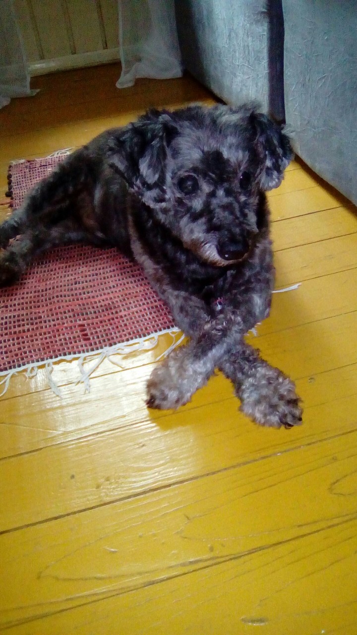 Max