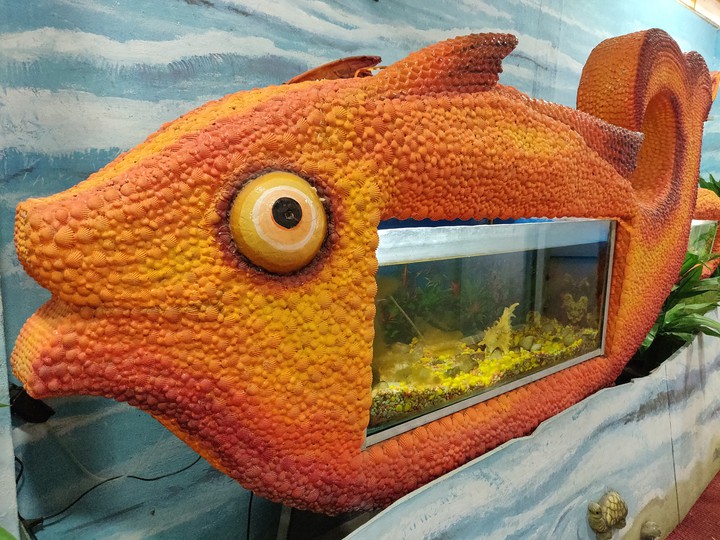 Fish