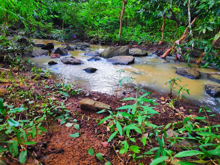 water flows