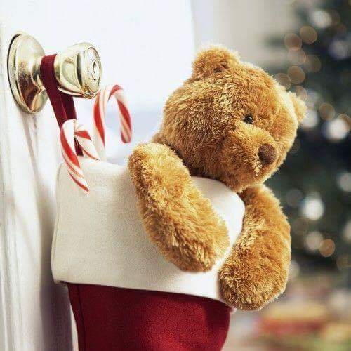 nounours
