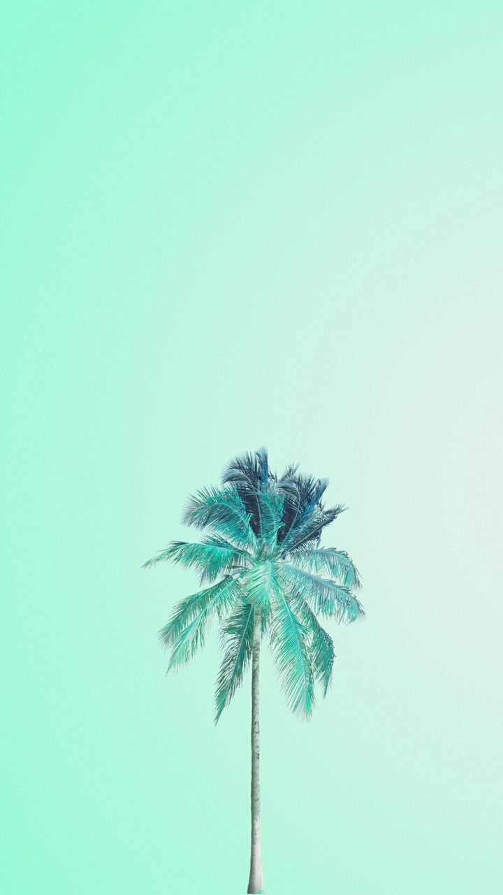 Green coconut tree