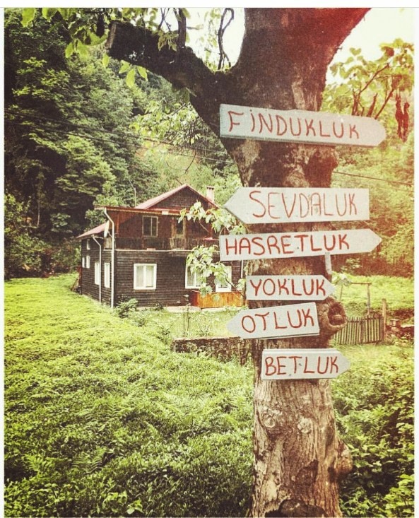 finduk