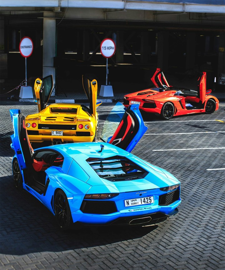 Lamborgini Trio