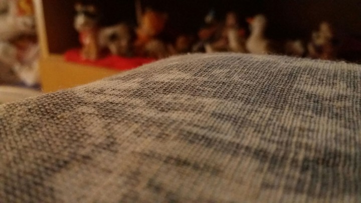 conforto do dia  . .