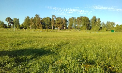 поле