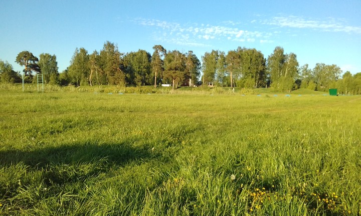 поле