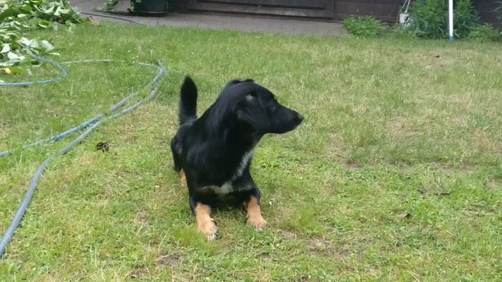 unser Schatz