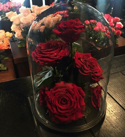 Розы