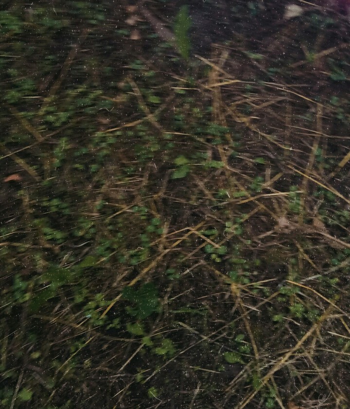 ❤