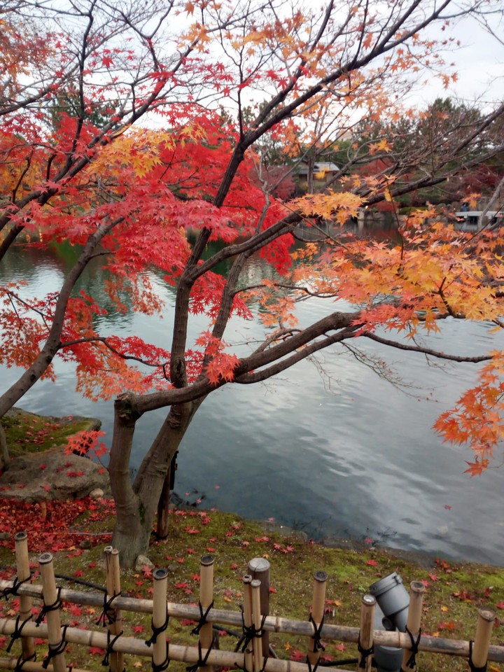 Japanese autumn