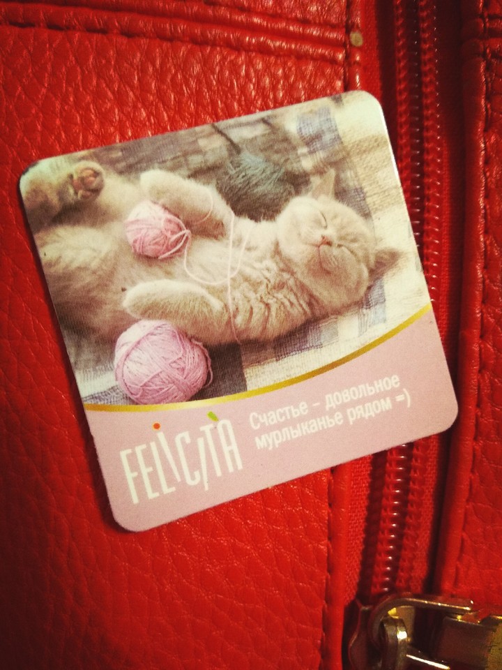 кошка. счастье -это довольное мурлыканье рядом ☺️