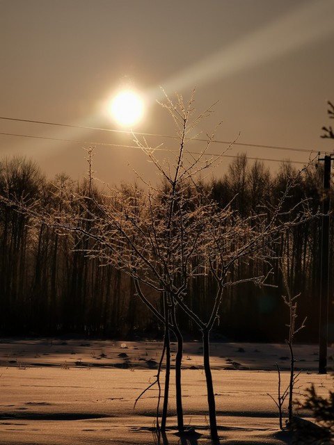 winter sun