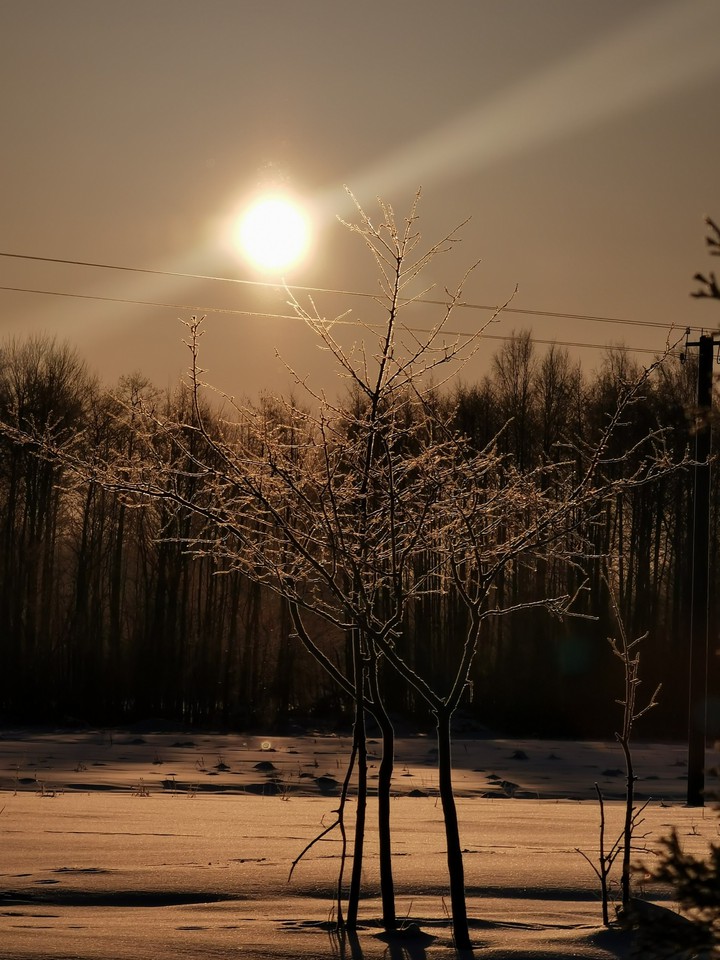 winter sun