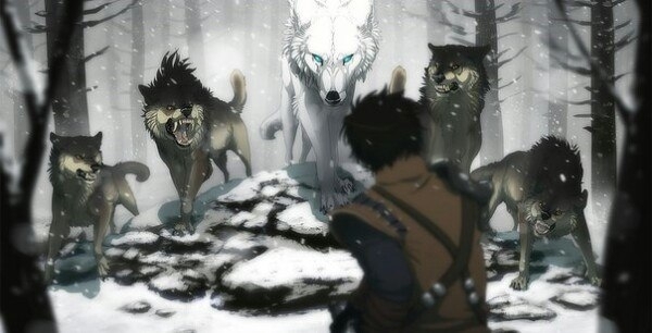 Wolf