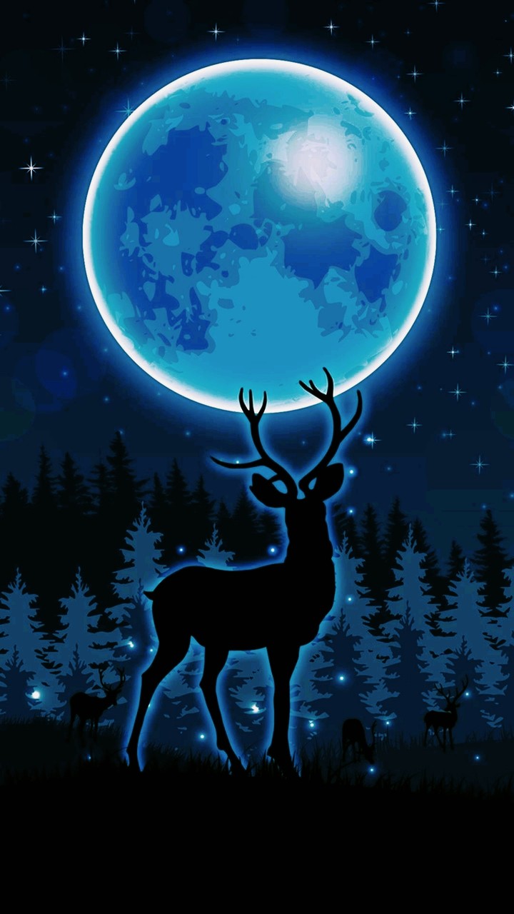 deer