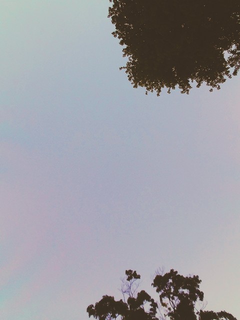 pink skies