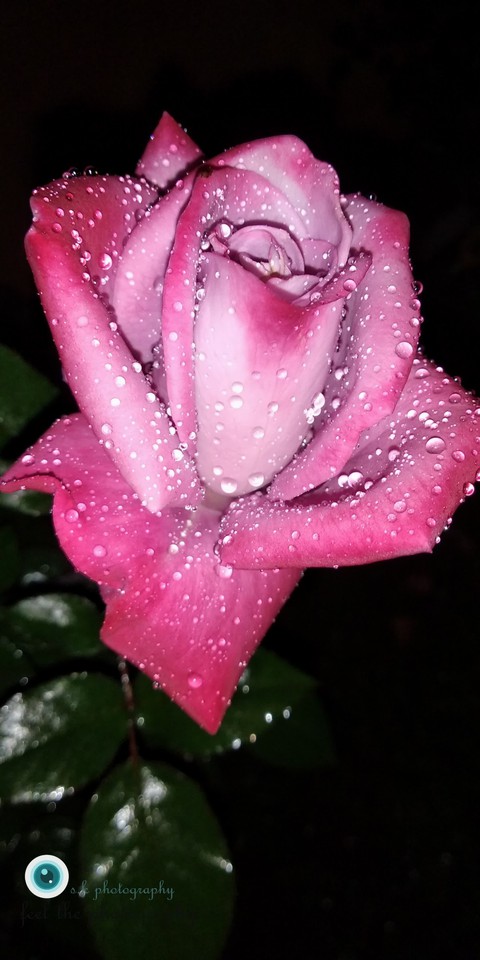 freezing moment
