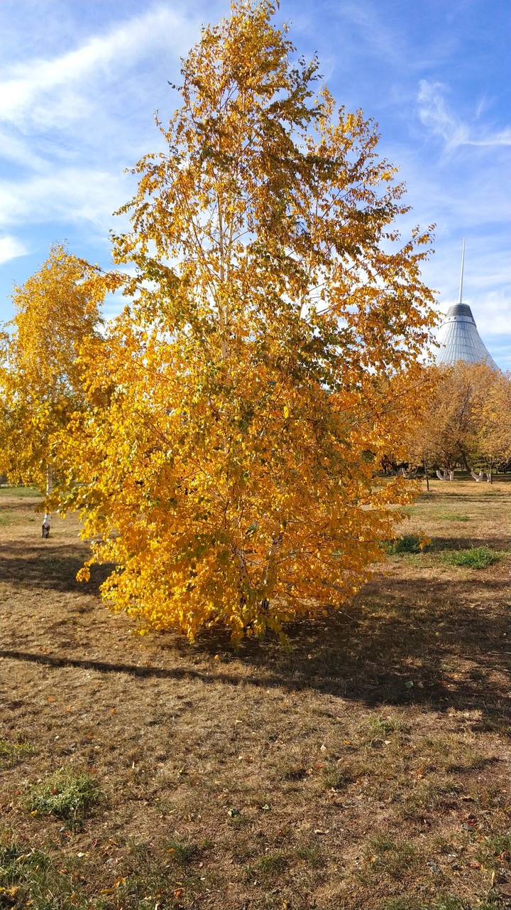 autumn