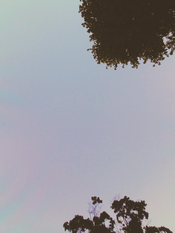 pink skies