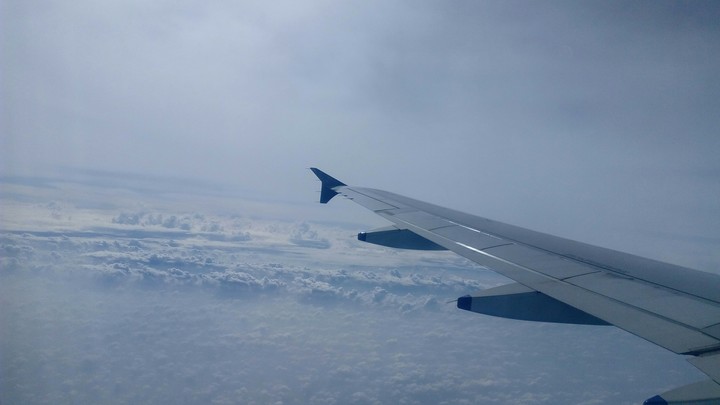 flight