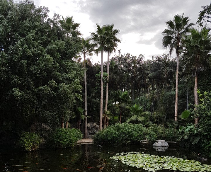 Tenerife (loro parque)