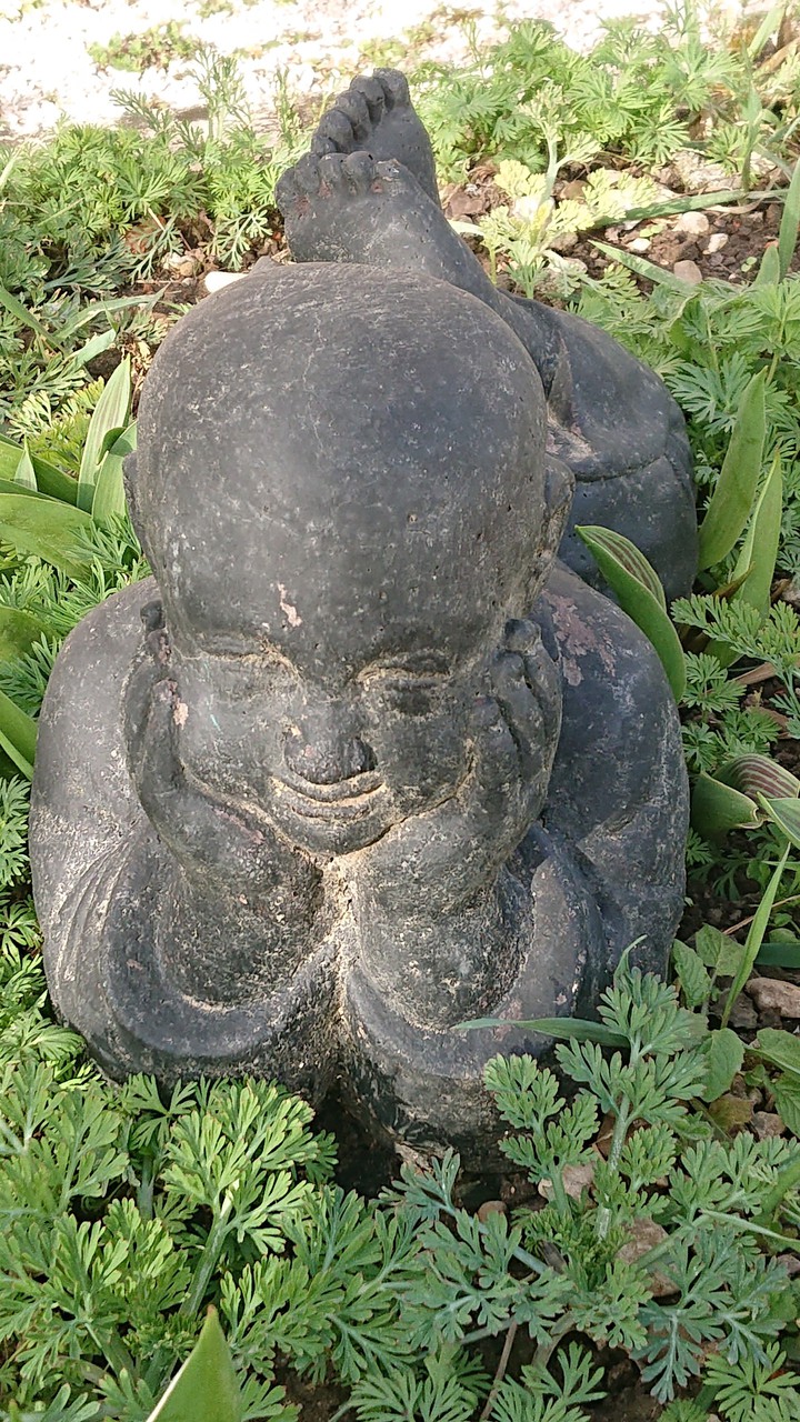 bouddha songeur