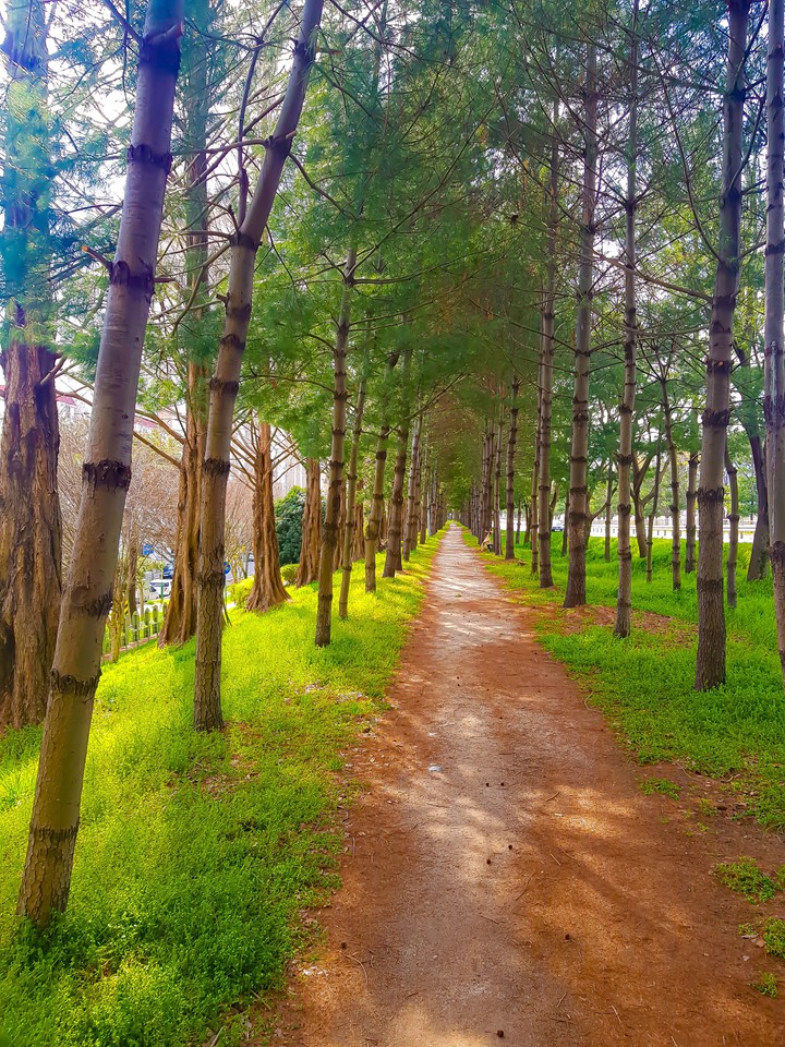 I didn't think I would find such places❤?