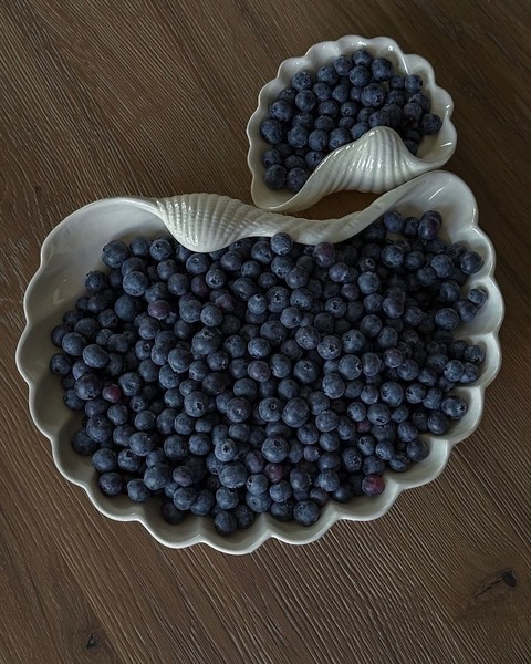 ταπετσαρίες Dishware, blueberry