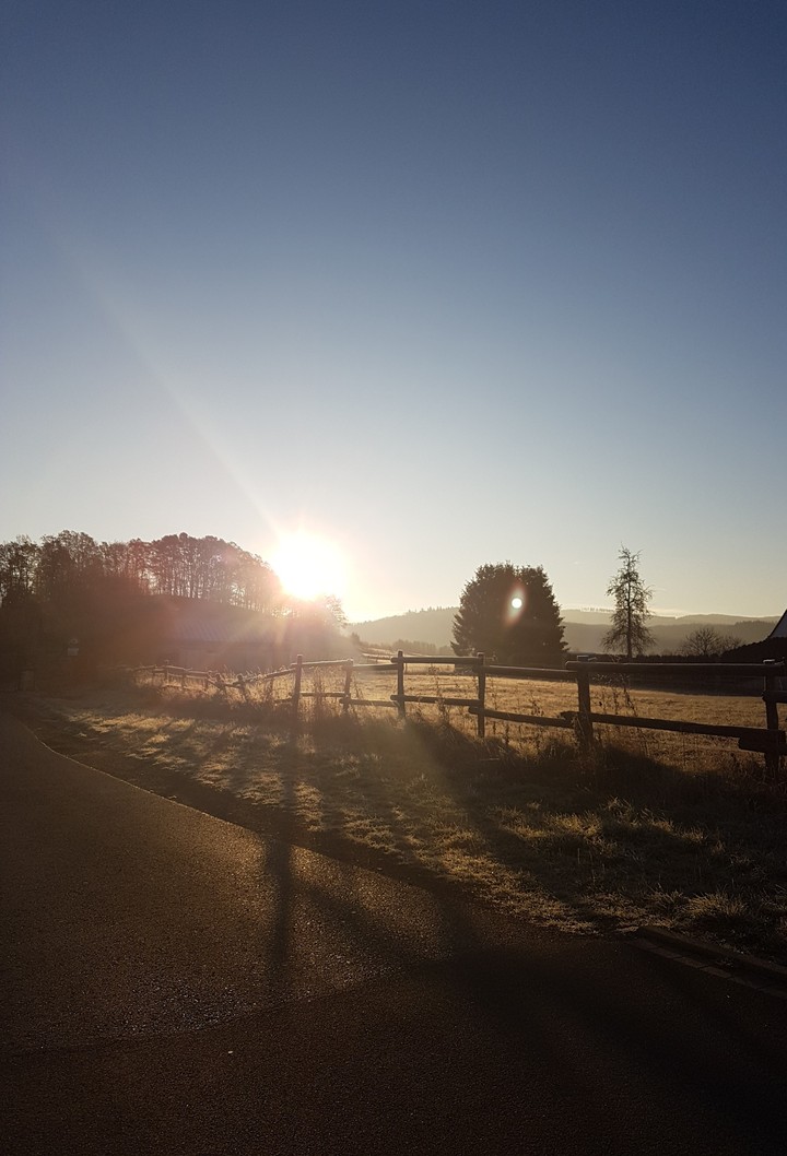 Sunshine