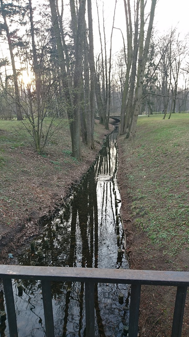 lake in forest