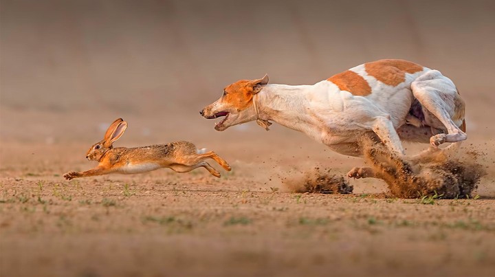 running for life..