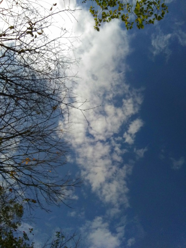 In the sky