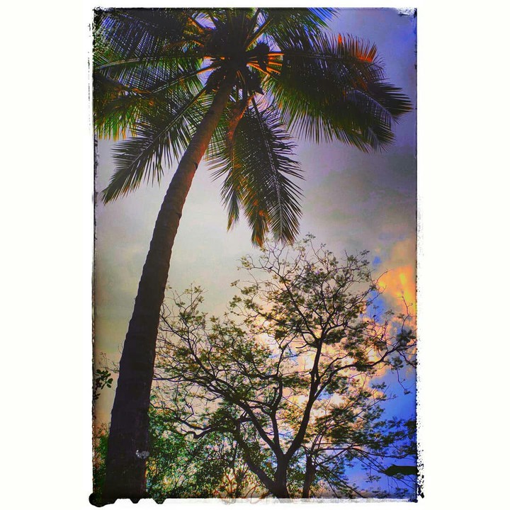 evening