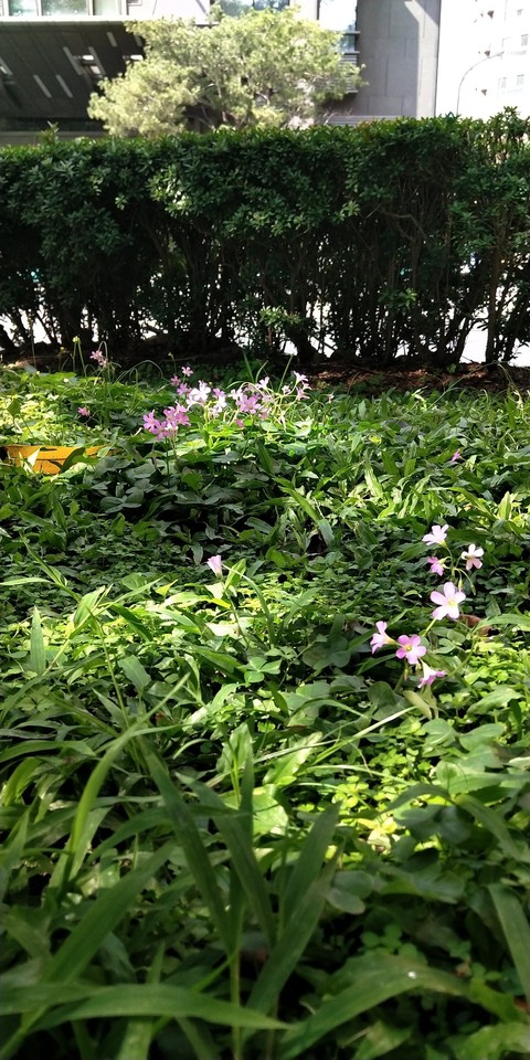 street in Taichung City
