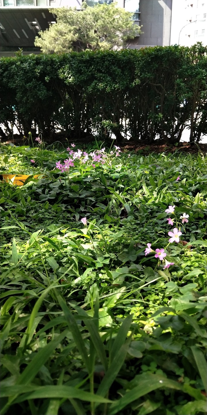 street in Taichung City