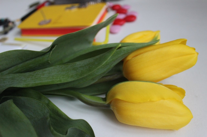 #tulips#flowers