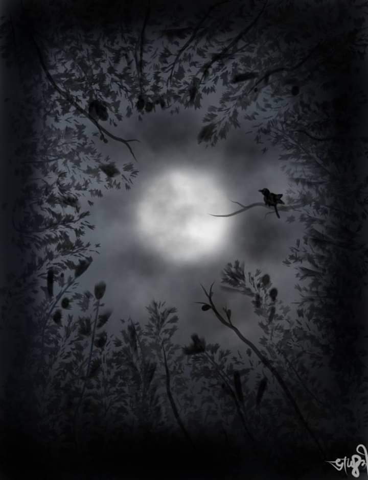 night