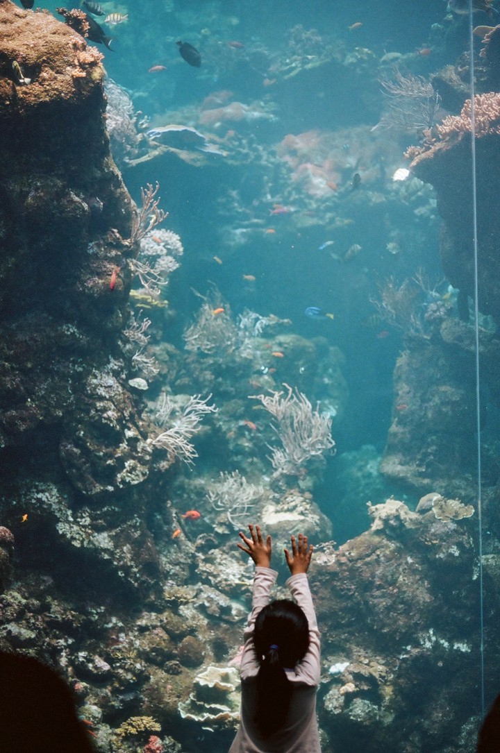 Finding Nemo