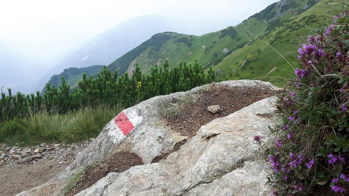 mountains