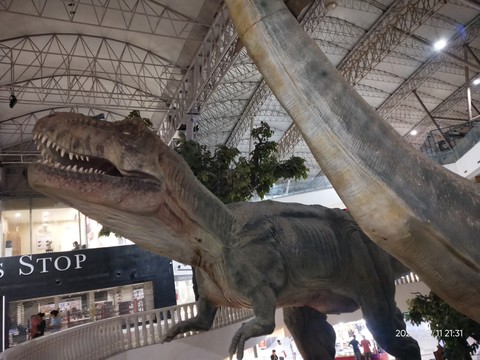 Art, dinosaur háttérképek