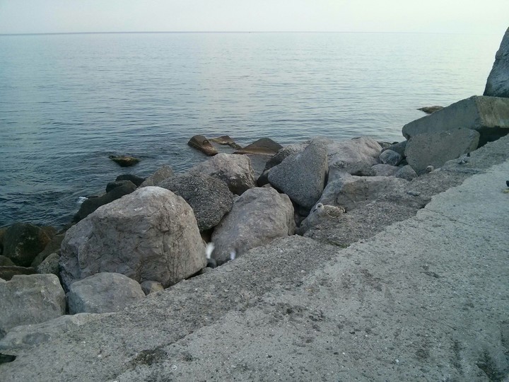 море