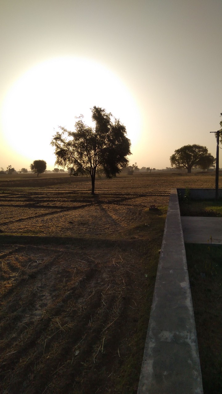 Countryside