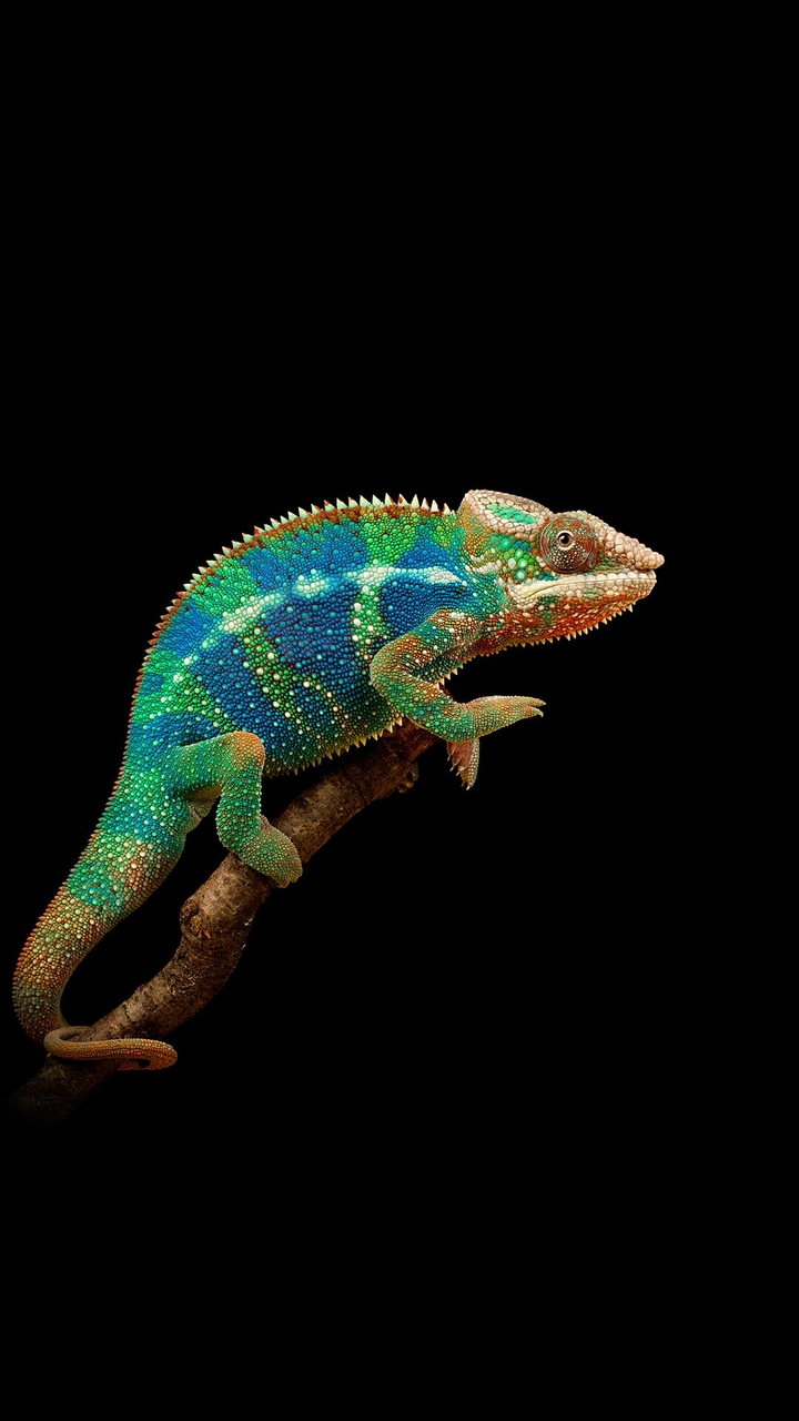 colorful