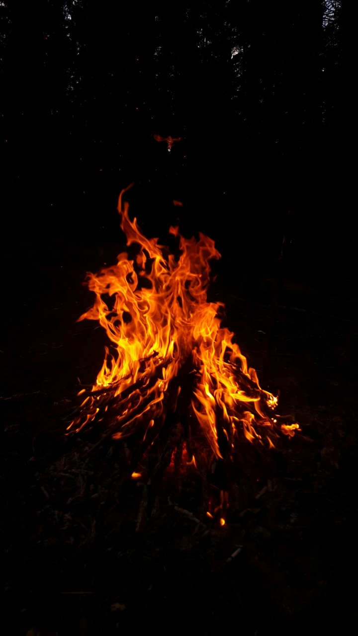 fire