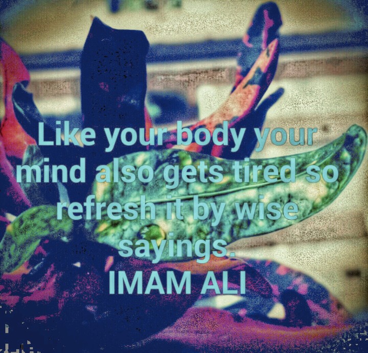 imam ali quotes